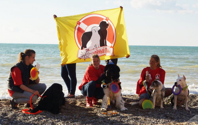 Фотография № 215438