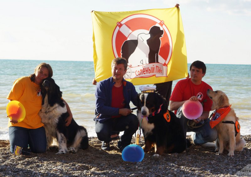 Фотография № 215442