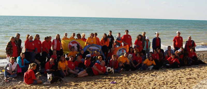 Фотография № 215450