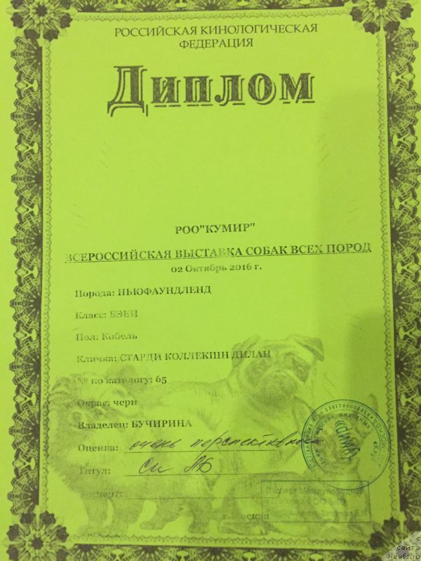 Фотография № 215456