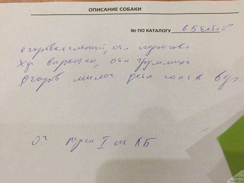 Фотография № 215457