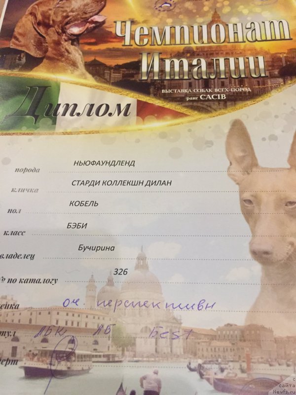 Фотография № 215459