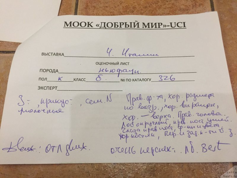 Фотография № 215460