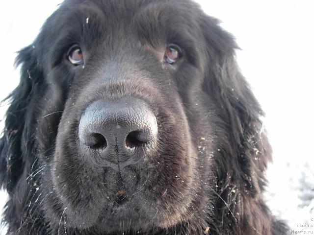 Фотография № 21550