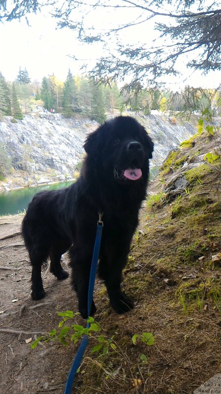 Фотография № 215511