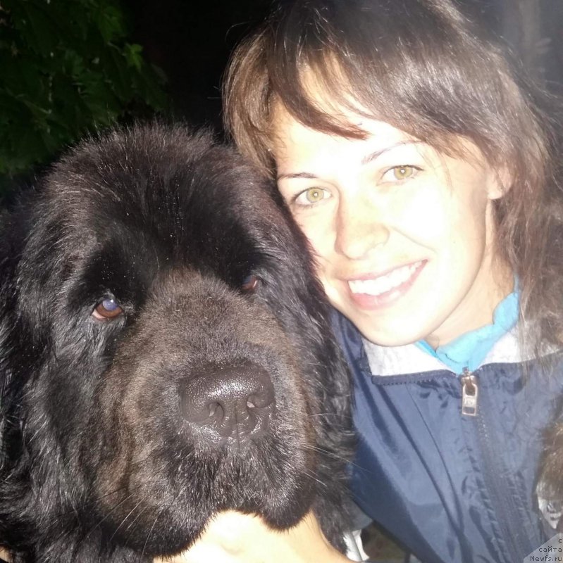 Фотография № 215520