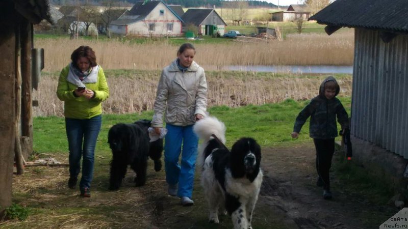 Фотография № 215537