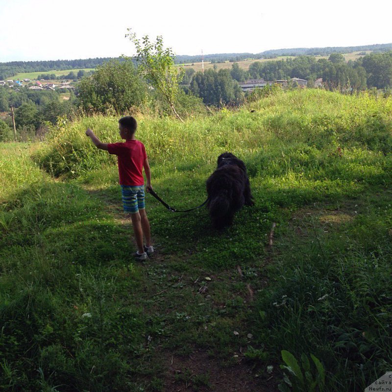 Фотография № 215538