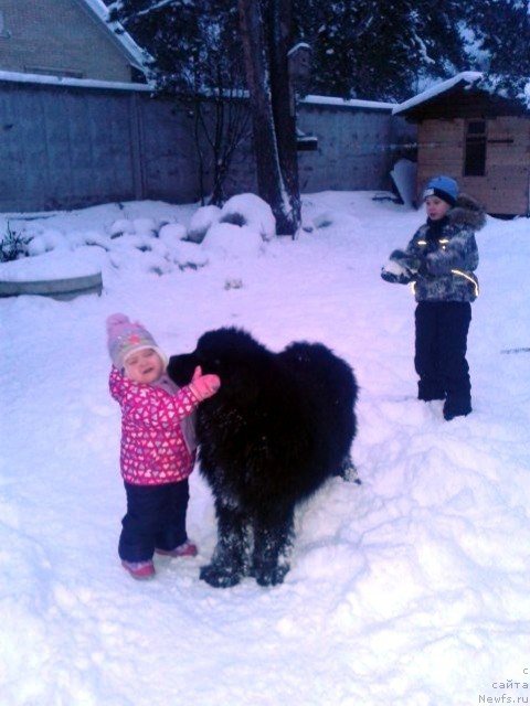 Фотография № 215541