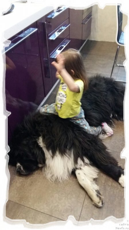 Фотография № 215542