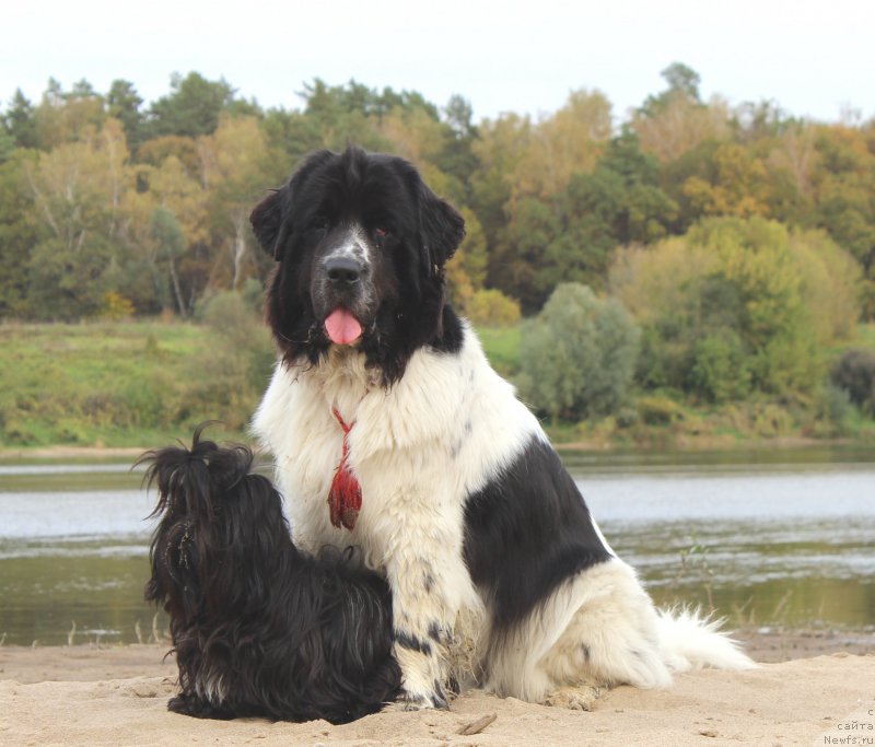 Фотография № 215547