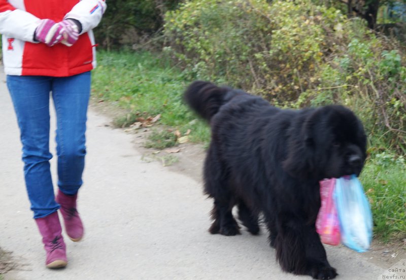 Фотография № 215553