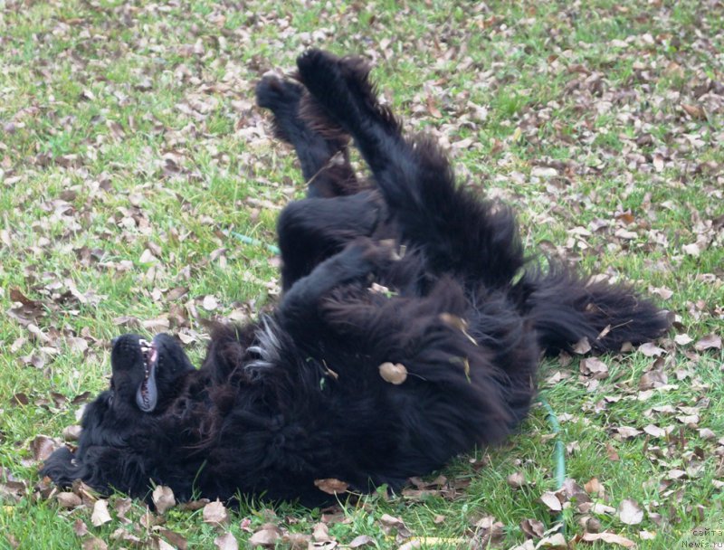 Фотография № 215554