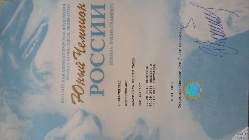 Фото: ньюфаундленд Акватория Келвин Яуза (Aquatoriya Kelvin Yauza)