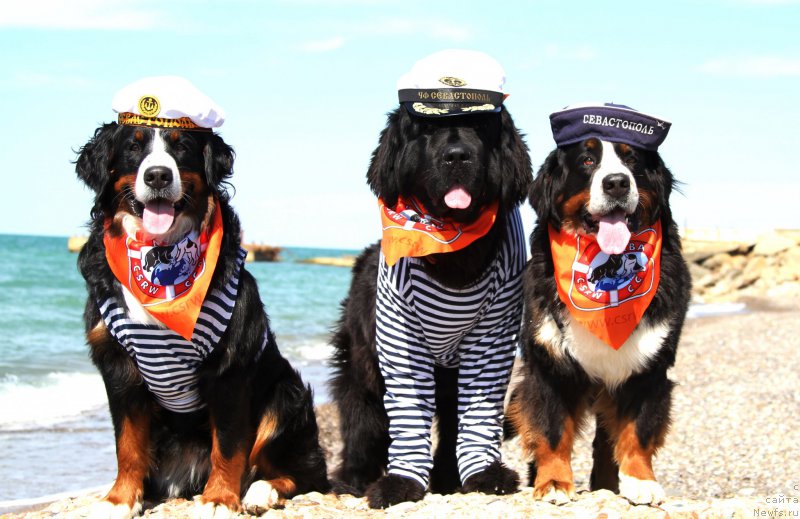 Фотография № 215590