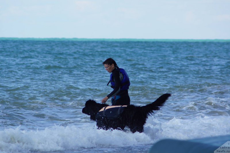 Фотография № 215638