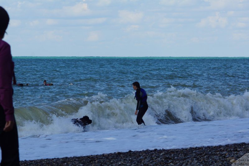 Фотография № 215641