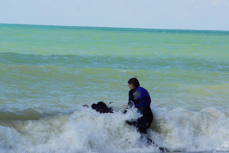 Фотография № 215642