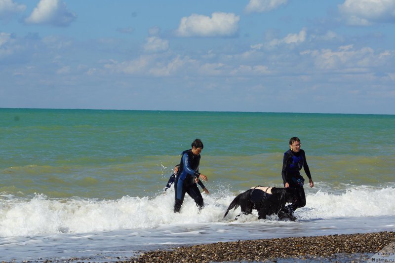 Фотография № 215644