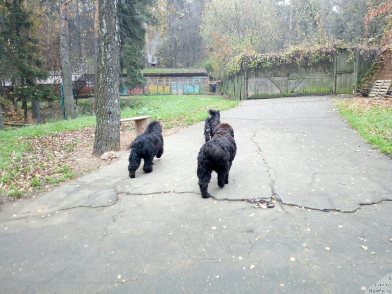 Фотография № 215656