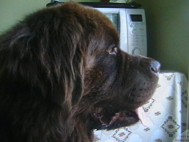 Фото: Ольга Ломтева