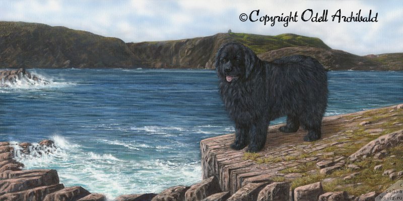 Фотография № 215725