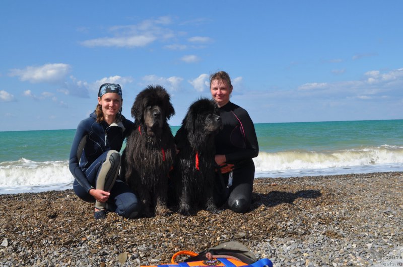 Фотография № 215726