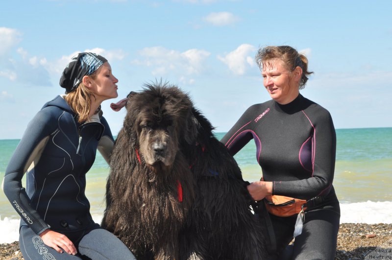 Фотография № 215727