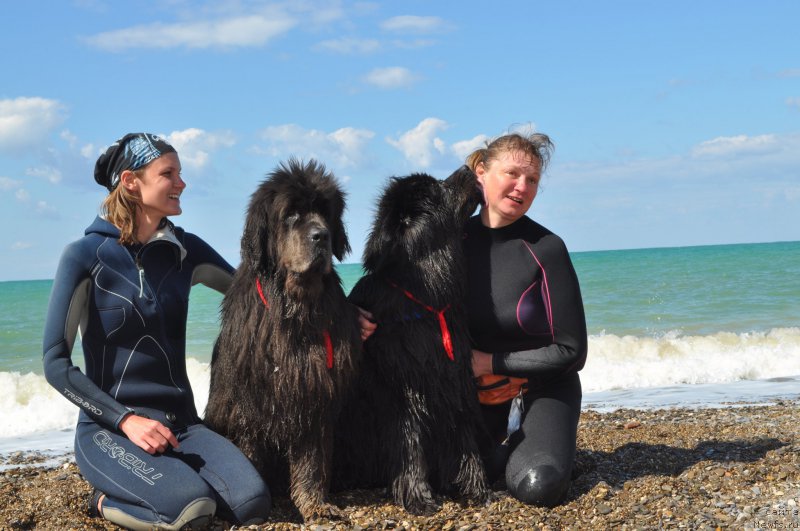 Фотография № 215728