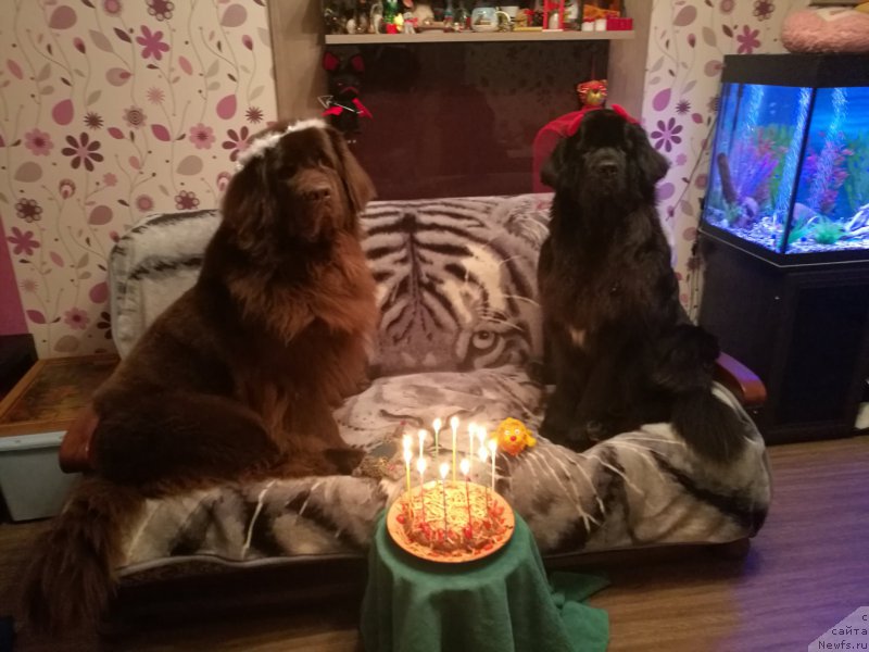 Фотография № 215744