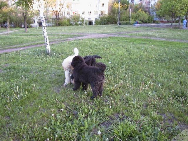 Фото: Екатерина Лукина