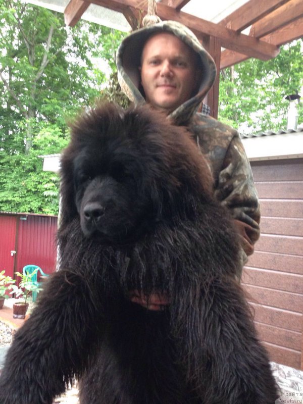 Фотография № 215762