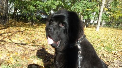 Фотография № 215764