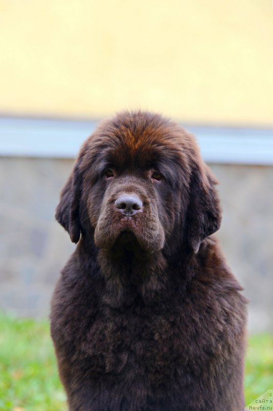 Фотография № 215797