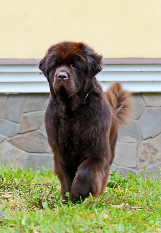 Фотография № 215799