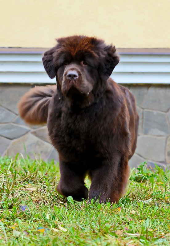 Фотография № 215800