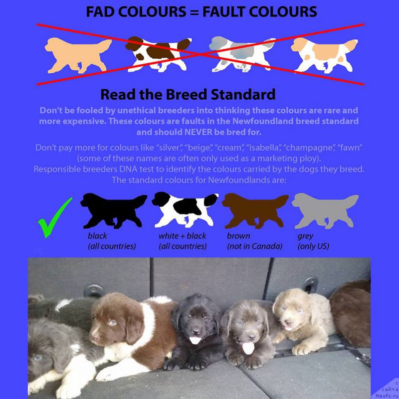 Фотография № 215806