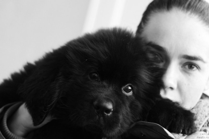 Фотография № 215815