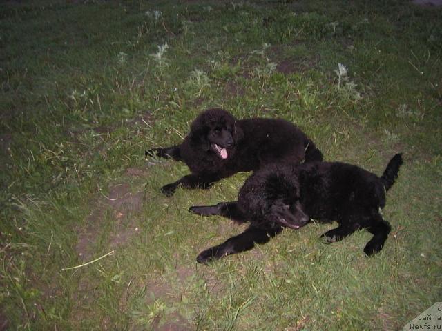 Фото: Екатерина Лукина