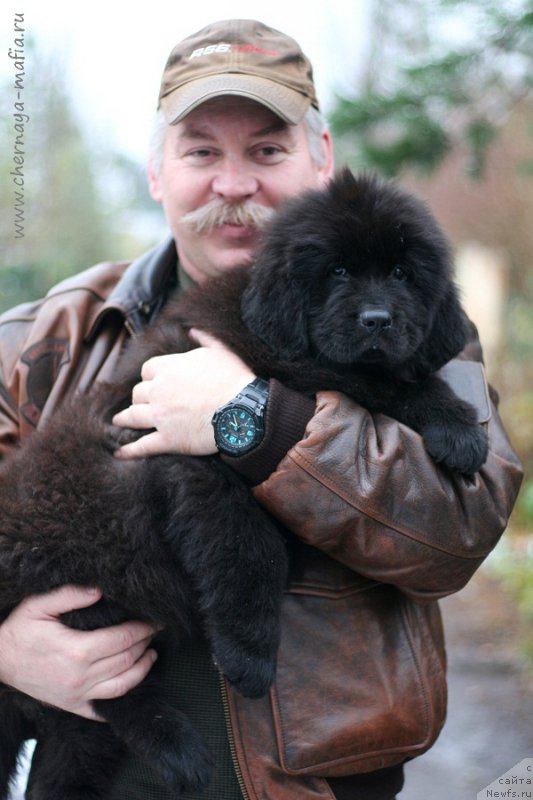 Фотография № 215887