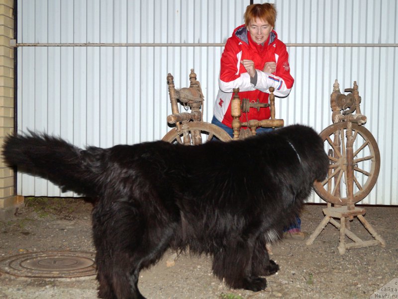 Фотография № 215889