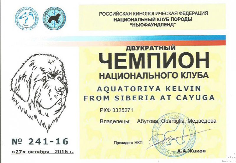 Фото: ньюфаундленд Акватория Келвин Фром Сибириа эт Каюга (Aquatoriya Kelvin From Siberia at Cayuga)