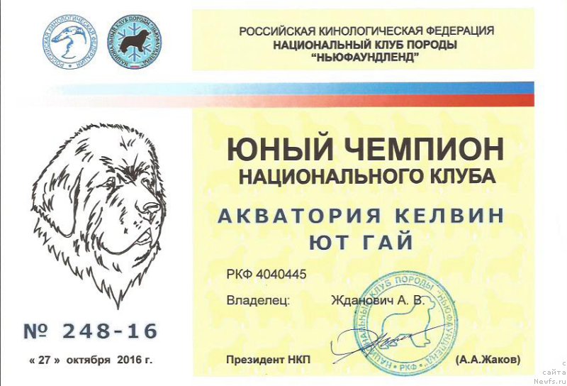 Фото: ньюфаундленд Акватория Келвин Ют Гай