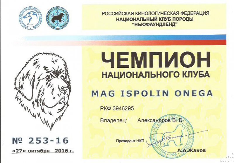 Фотография № 215987