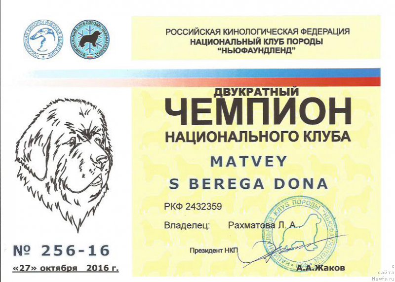 Фотография № 215990