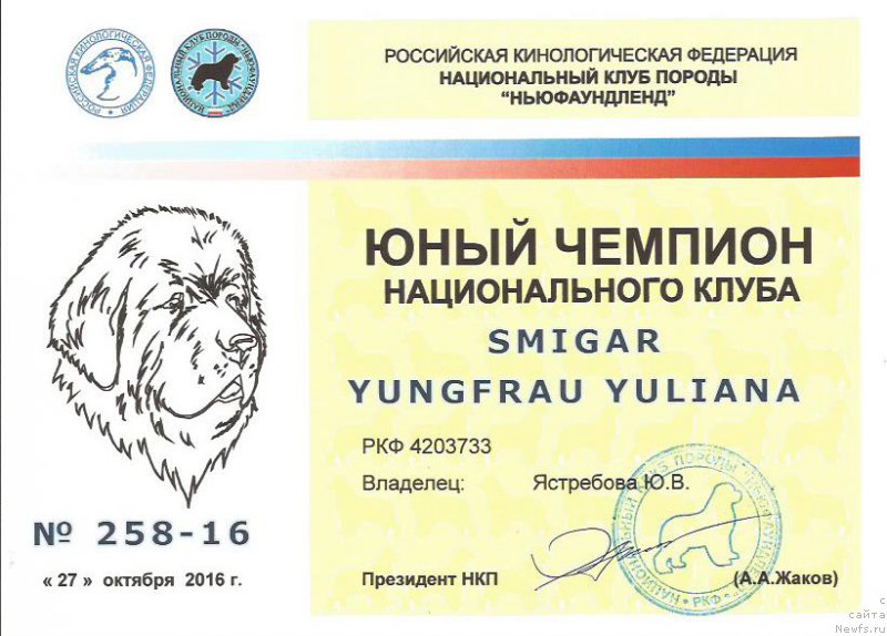 Фотография № 215992