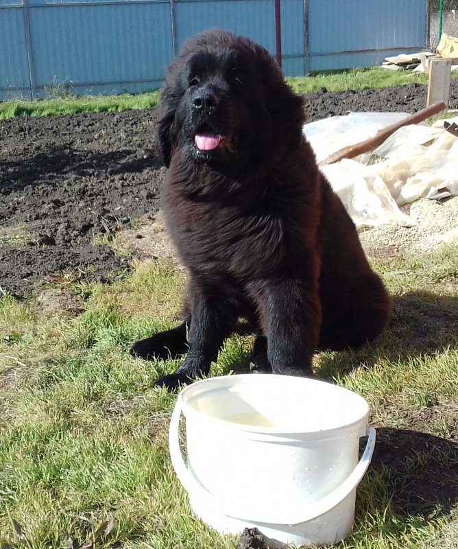 Фотография № 215993