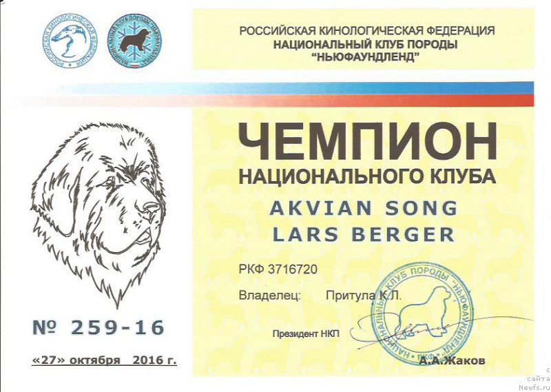 Фотография № 215995