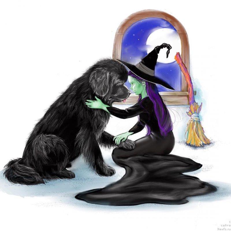 Фотография № 216047