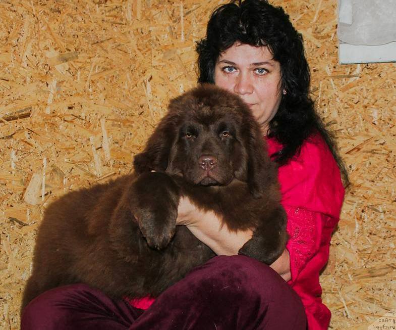 Фотография № 216151